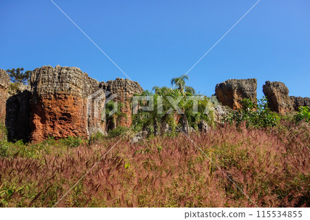 sandstone geological monuments, or Arenitos, in Vila Velha State Park. Ponta Grossa, Parana, Brazil 115534855
