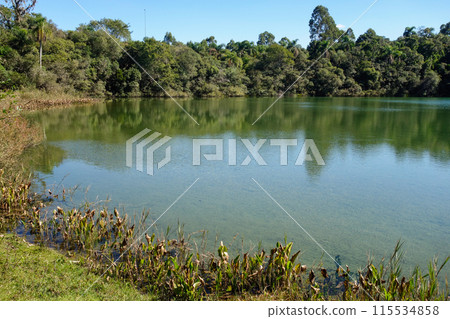 the Golden lagoon in Vila Velha State Park, Ponta Grossa, Parana, Brazil 115534858