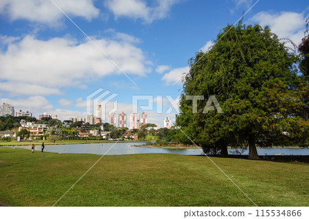 Barigui park in Curitiba, Brazil, on sunny day. Panoramic 115534866