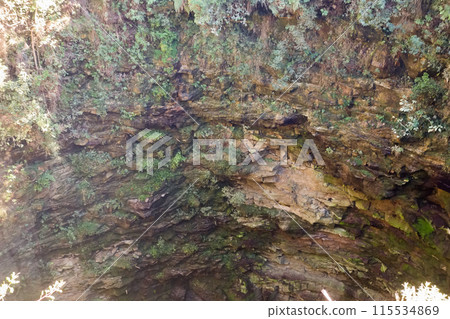 sandstone geological cave in Vila Velha State Park. Ponta Grossa, Parana, Brazil 115534869