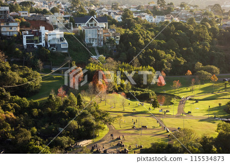 Tangua park area and condominium houses in Curitiba, Brazil. Panoramic 115534873