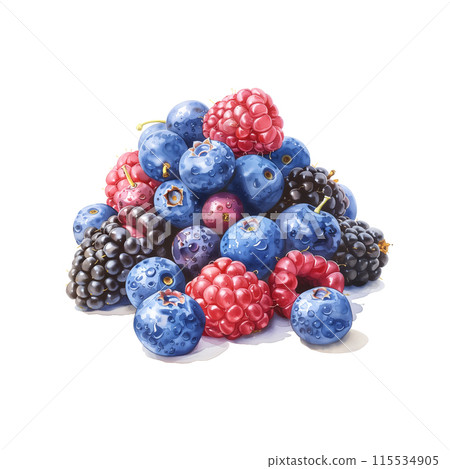白色背景上不同類型漿果的水彩插圖 白色背景上不同類型漿果的水彩插圖 115534905