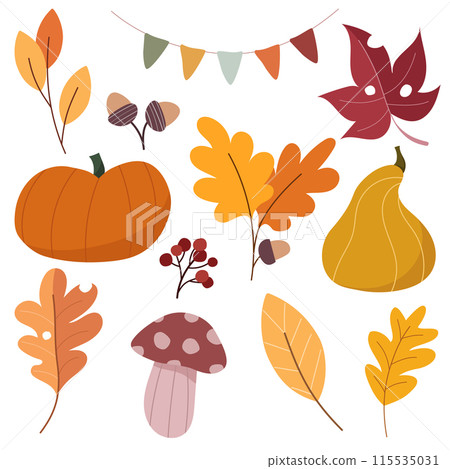 Set of autumn floral design elements Set of autumn floral design elements 115535031