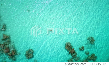 Top down view person swimming crystal turquoise sea water. Female in bikini relax and enjoy outdoor lifestyle travel on summer holiday vacation. Explore coral reef underwater life. Aerial drone shot 115535103