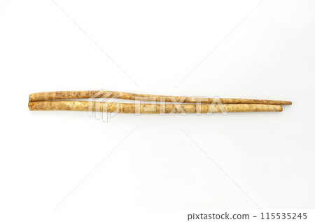 Burdock root 115535245