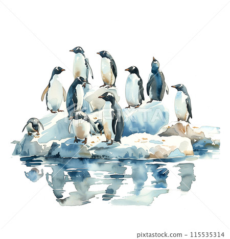Watercolor illustration of a penguin on a white background 115535314