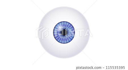 Iris medical poster Iris medical poster 115535395