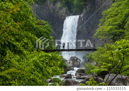 [Niigata Prefecture_Myoko City_Naena Falls] Naena Falls where you can enjoy the beauty of the valley throughout the four seasons 115535515