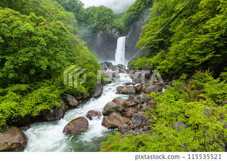 [Niigata Prefecture_Myoko City_Naena Falls] Naena Falls where you can enjoy the beauty of the valley throughout the four seasons 115535521