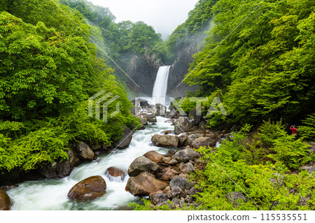 [Niigata Prefecture_Myoko City_Naena Falls] Naena Falls where you can enjoy the beauty of the valley throughout the four seasons 115535551