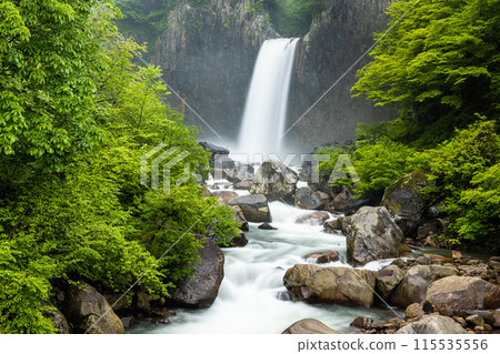 [Niigata Prefecture_Myoko City_Naena Falls] Naena Falls where you can enjoy the beauty of the valley throughout the four seasons 115535556
