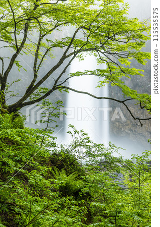 [Niigata Prefecture_Myoko City_Naena Falls] Naena Falls where you can enjoy the beauty of the valley throughout the four seasons 115535575