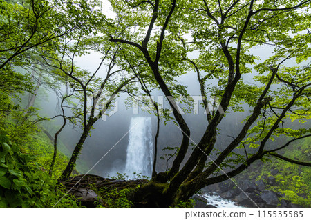 [Niigata Prefecture_Myoko City_Naena Falls] Naena Falls where you can enjoy the beauty of the valley throughout the four seasons 115535585