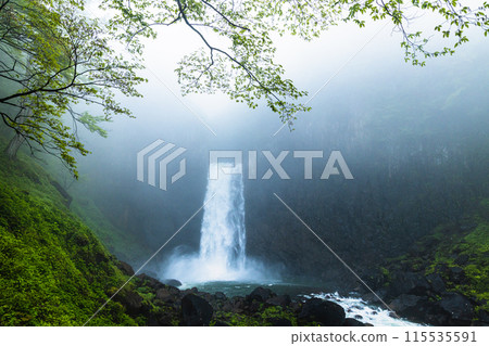 [Niigata Prefecture_Myoko City_Naena Falls] Naena Falls where you can enjoy the beauty of the valley throughout the four seasons 115535591