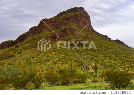 Sonora Desert Arizona Picacho Peak State Park Sonora Desert Arizona Picacho Peak State Park 115536993