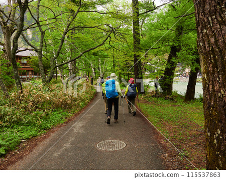 Tourists strolling in the tourist spot of Kamikochi, enjoying the fresh greenery of early summer on a rainy day 115537863