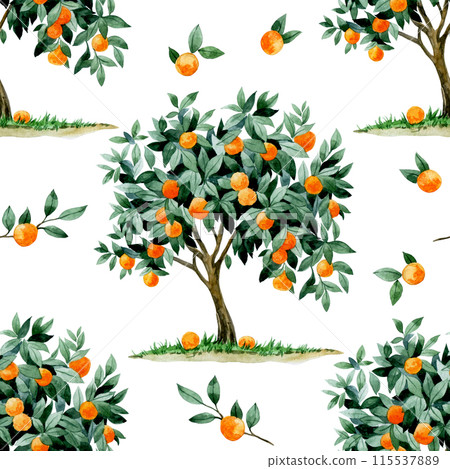 watercolor seamless pattern with orange, tangerine trees. print with ripe fruits and leaves 115537889
