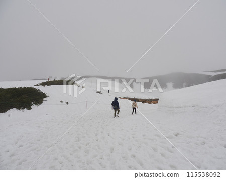陰天，遊客在立山黑部阿爾卑斯山路線室堂雪山上行走 115538092