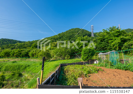 Nagoki Satoyama scenery 115538147