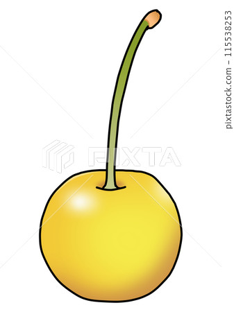 Yellow cherry illustration (with outline) Yellow cherry illustration (with outline) 115538253