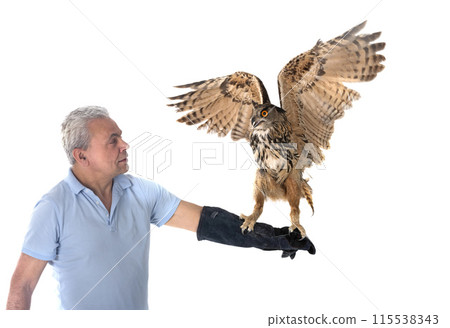 Eurasian eagle-owl in studio 115538343