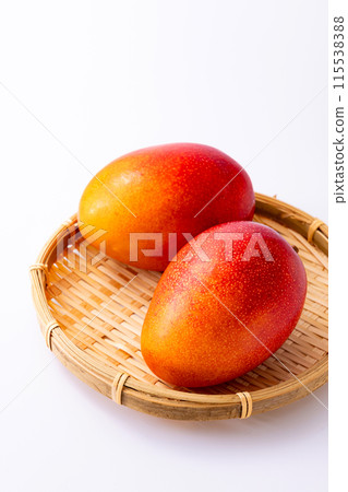 宮崎縣的芒果 115538388