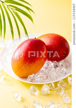 宮崎縣的芒果 115538407