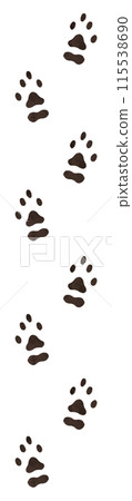 Chinchilla Footprints 115538690