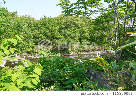 The Yobetsu River as seen from near the Yobetsu River Management Observation Facility 115539091