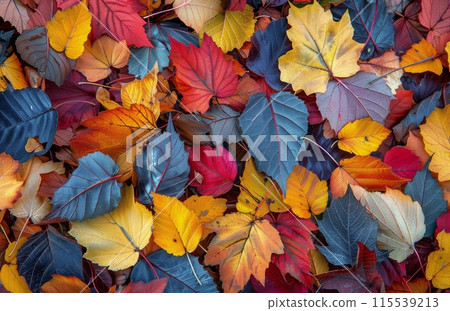Colorful Autumn Leaves Covering the Ground 115539213