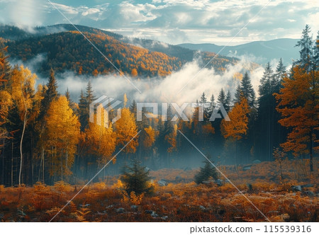 Autumnal Forest Landscape With Foggy Mountains at Sunrise 115539316