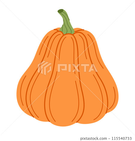 Ripe orange pumpkin. Hand drawn flat style Autumn Harvest Thanksgiving halloween 115540733