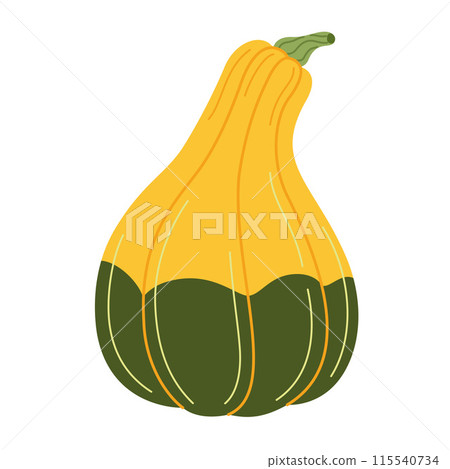Colorful, yellow green pumpkin. Hand drawn flat style Autumn Harvest Thanksgiving halloween 115540734