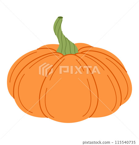 Ripe orange pumpkin. Hand drawn flat style Autumn Harvest Thanksgiving halloween 115540735