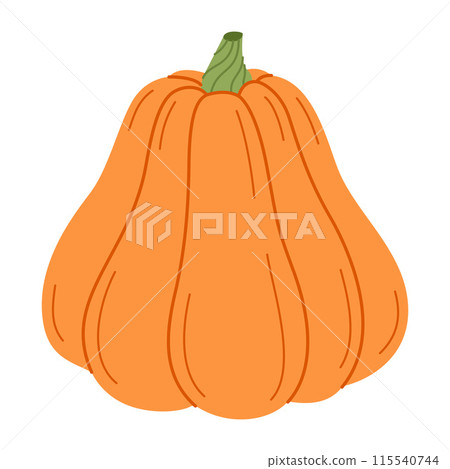 Ripe orange pumpkin. Hand drawn flat style Autumn Harvest Thanksgiving halloween 115540744