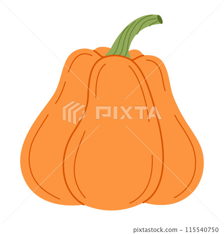 Ripe orange pumpkin. Hand drawn flat style Autumn Harvest Thanksgiving halloween Ripe orange pumpkin. Hand drawn flat style Autumn Harvest Thanksgiving halloween 115540750
