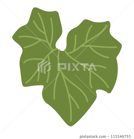 Pumpkin leaf plant. Hand drawn trendy flat style isolated on transparent 115540755