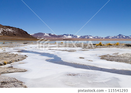 Bolivian lagoon landscape,Bolivia 115541293