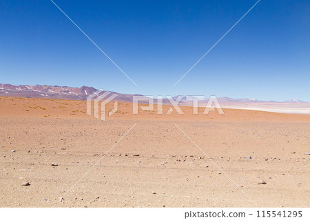 Bolivian lagoon landscape,Bolivia 115541295