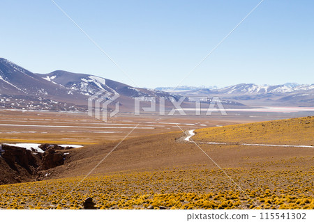 Beautiful bolivian landscape,Bolivia 115541302