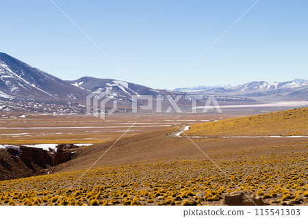 Beautiful bolivian landscape,Bolivia Beautiful bolivian landscape,Bolivia 115541303