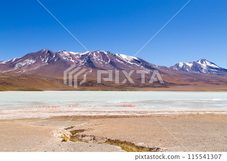 Laguna Hedionda view, Bolivia 115541307