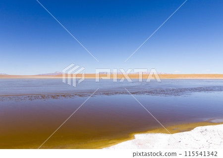 Bolivian lagoon view,Bolivia 115541342