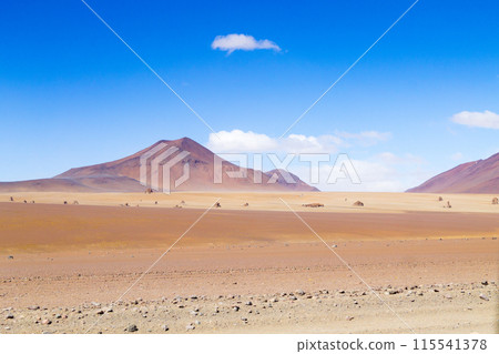 Beautiful bolivian landscape,Bolivia 115541378