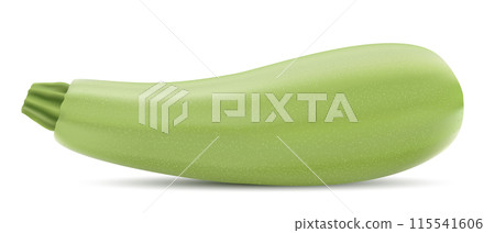 Vector drawing realistic 3d zucchini on white background. 115541606