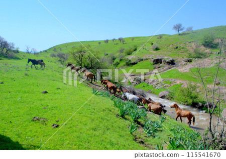 Uzbekistan Pamir mountains. Nature's Beauty Uzbekistan Pamir mountains. Nature's Beauty 115541670
