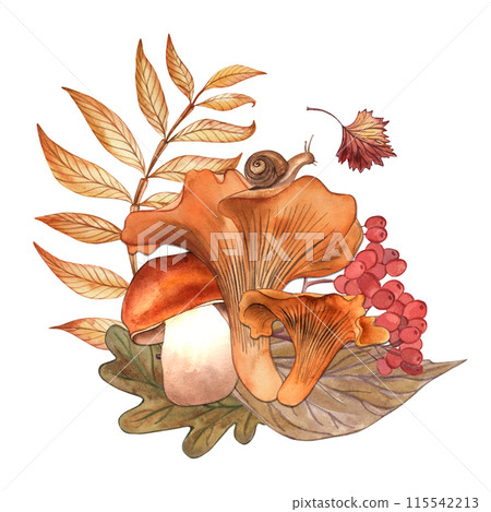 Mushrooms, mountain ash, berries, leaves, autumn, forest, the illustration is hand-drawn in watercolor on a white background. Suitable for printing postcards, posters, holiday design, Thanksgiving. 115542213