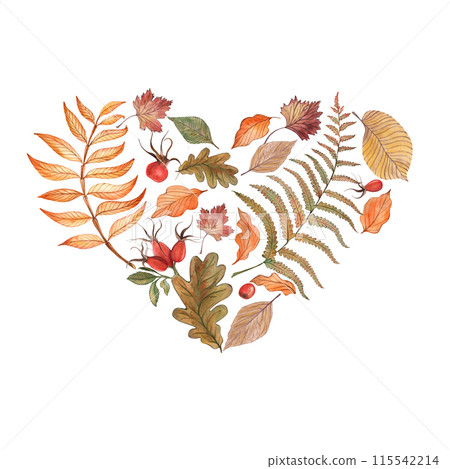 Autumn, rowan, fern, leaves, branch, berries, red, orange, yellow - a set of illustrations drawn in watercolor on a transparent background. for design and printing of textiles, fabric, clothing, card. 115542214