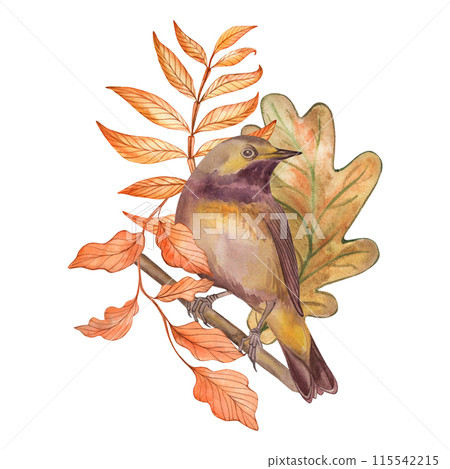 Bird, finch, tree, branch, leaves, brown, autumn, illustration drawn in watercolor on a white background. Suitable for printing cards poster, textiles, fabrics, fashion design, accessories, tableware. 115542215