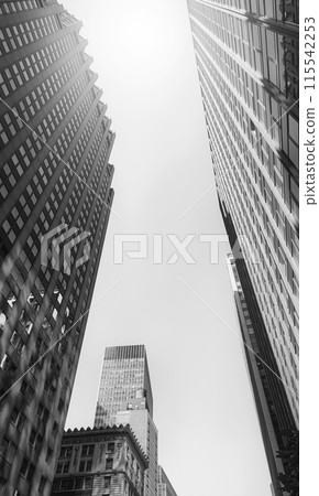 Looking up at New York City skyscrapers against the sun, USA. Looking up at New York City skyscrapers against the sun, USA. 115542253